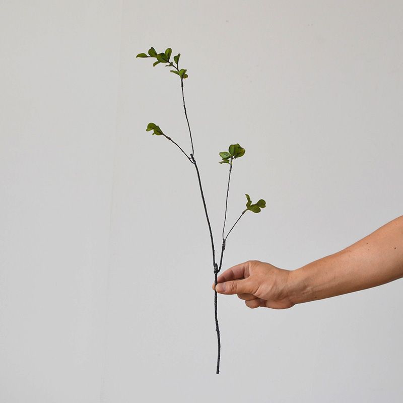 Cành lá Sila giả trang trí cao cấp