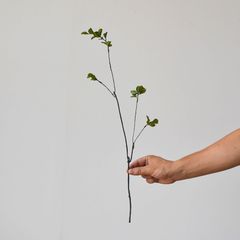 Cành lá Sila giả trang trí cao cấp