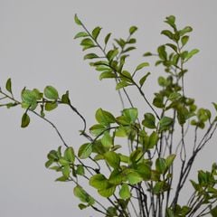 Cành lá Sila giả trang trí cao cấp