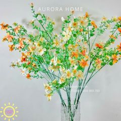 Cành hoa cúc dại baby xinh xắn