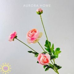 Cành hoa hồng trà mao lương baby cao cấp