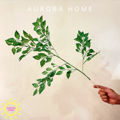 Cành lá xanh điểm (nhiều mẫu)