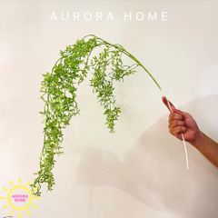 Cành lá dương xỉ rủ giả decor (nhiều mẫu)