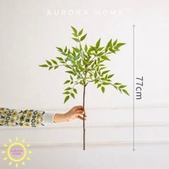 Cành lá tre Nam Thiên Trúc giả