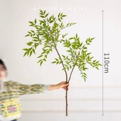 Cành lá tre Nam Thiên Trúc giả