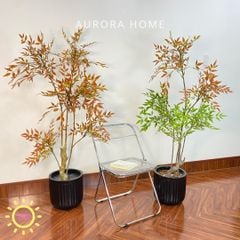 Cây nam thiên trúc lá đỏ cao cấp trang trí nhà