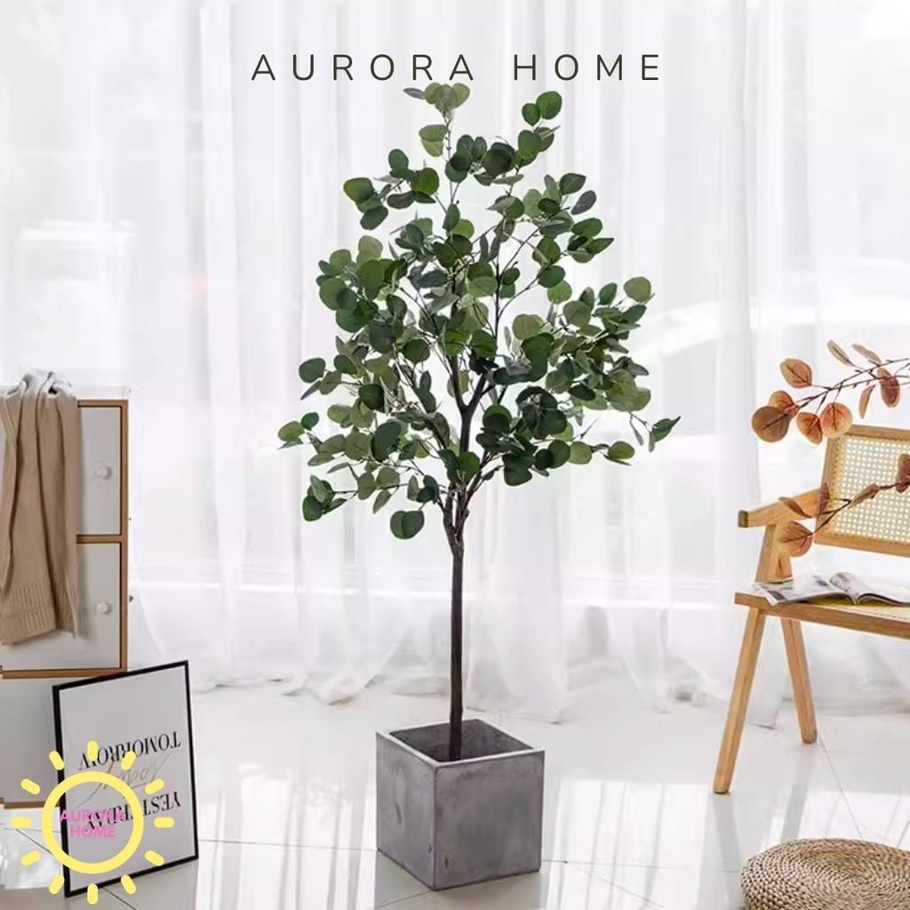 Cây bạch đàn giả trang trí nhà (Cây dollar)