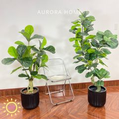 Chậu cây bàng dáng Bonsai giả cao cấp trang trí nhà