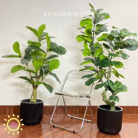 Chậu cây bàng dáng Bonsai giả cao cấp trang trí nhà