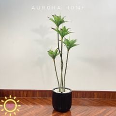 Cây bông súng giả trang trí