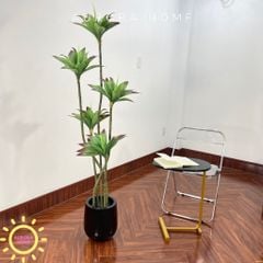 Cây bông súng giả trang trí
