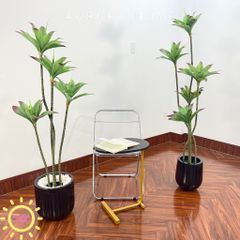 Cây bông súng giả trang trí