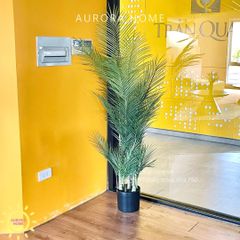Cây cau haiwai giả cao cấp tán xoè