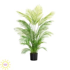 Cây cau haiwai giả cao cấp tán xoè
