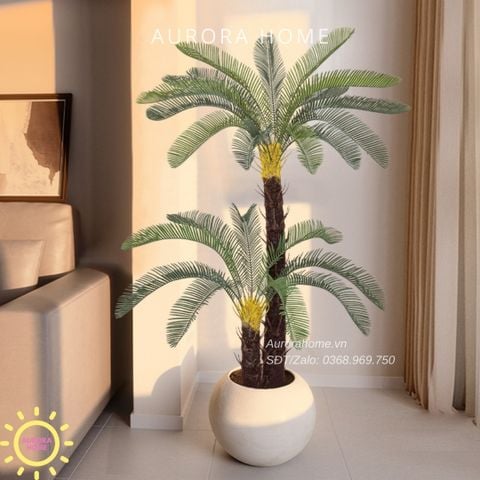 Cây cau nga mi giả xinh xắn (160cm)