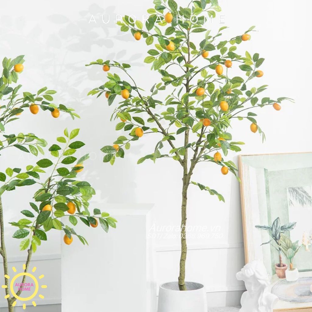 Cây chanh giả trang trí nhà siêu dễ thương