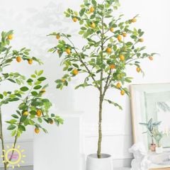Cây chanh giả trang trí nhà siêu dễ thương