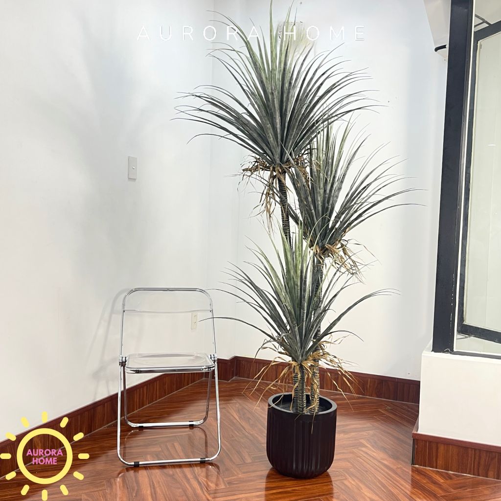 Cây giả Premium cây huyết rồng trang trí (210cm)