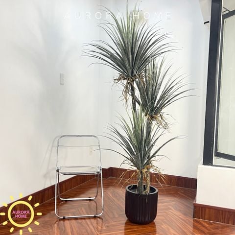 Cây giả Premium cây huyết rồng trang trí (210cm)