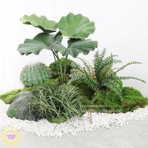 Cây giả cao cấp cây cọ lùn tán xoè