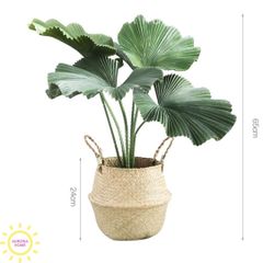 Cây giả cao cấp cây cọ lùn tán xoè