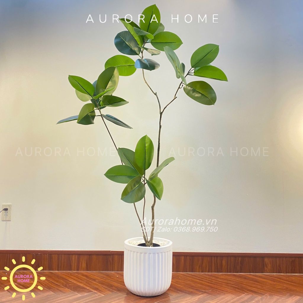 Cây giả Premium cây đa Wabi Sabi Nhật cao cấp