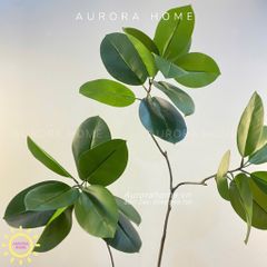 Cây giả Premium cây đa Wabi Sabi Nhật cao cấp