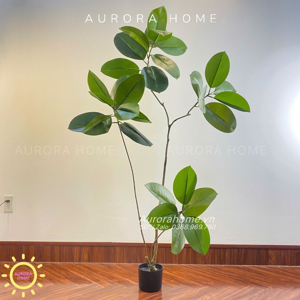 Cây giả Premium cây đa Wabi Sabi Nhật cao cấp