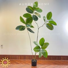 Cây giả Premium cây đa Wabi Sabi Nhật cao cấp