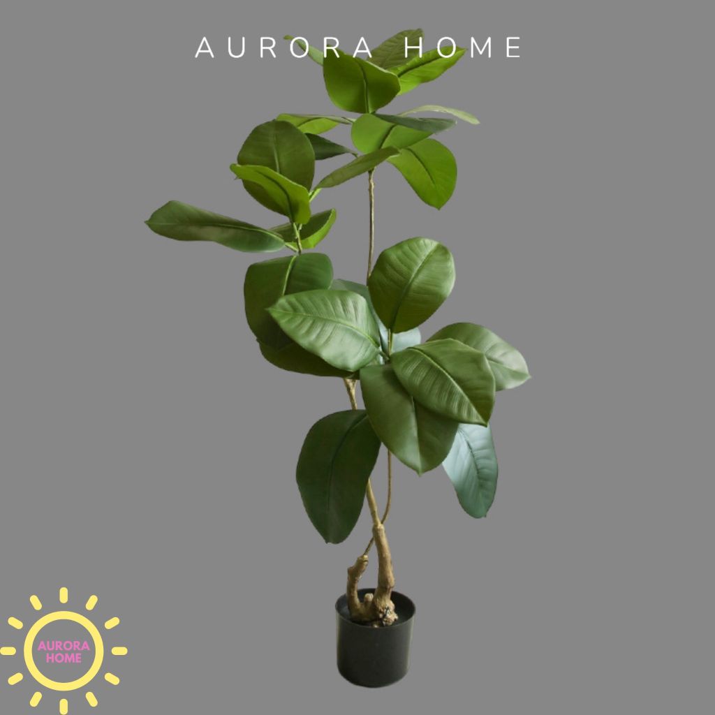 Cây giả Premium cây đa Wabi Sabi Nhật cao cấp