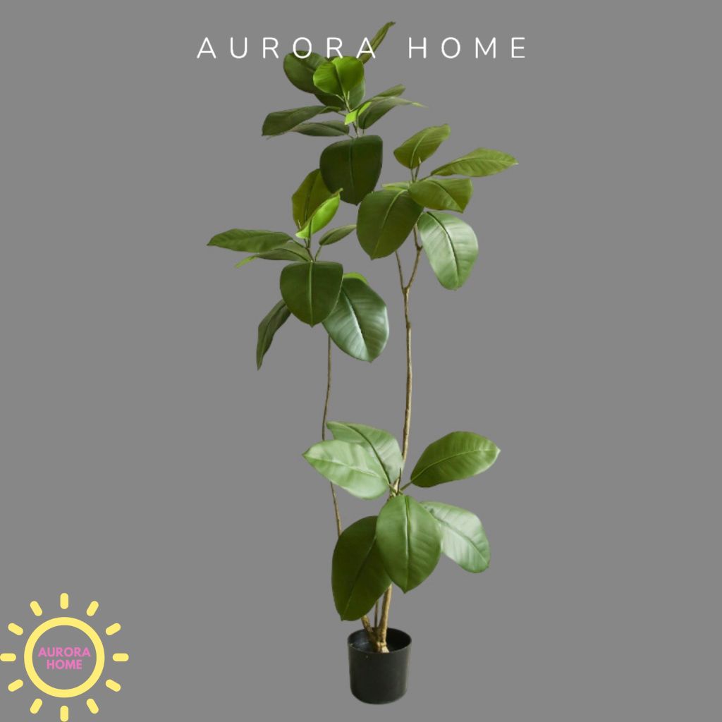 Cây giả Premium cây đa Wabi Sabi Nhật cao cấp