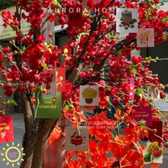 Cây đào cổ thụ đỏ xinh xắn trang trí Tết