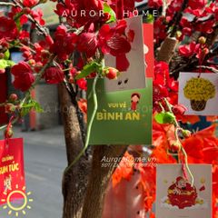 Cây đào cổ thụ đỏ xinh xắn trang trí Tết