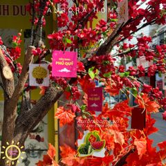 Cây đào cổ thụ đỏ xinh xắn trang trí Tết