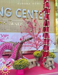 Cây đào rừng nhỏ trang trí Tết (trồng theo yêu cầu)