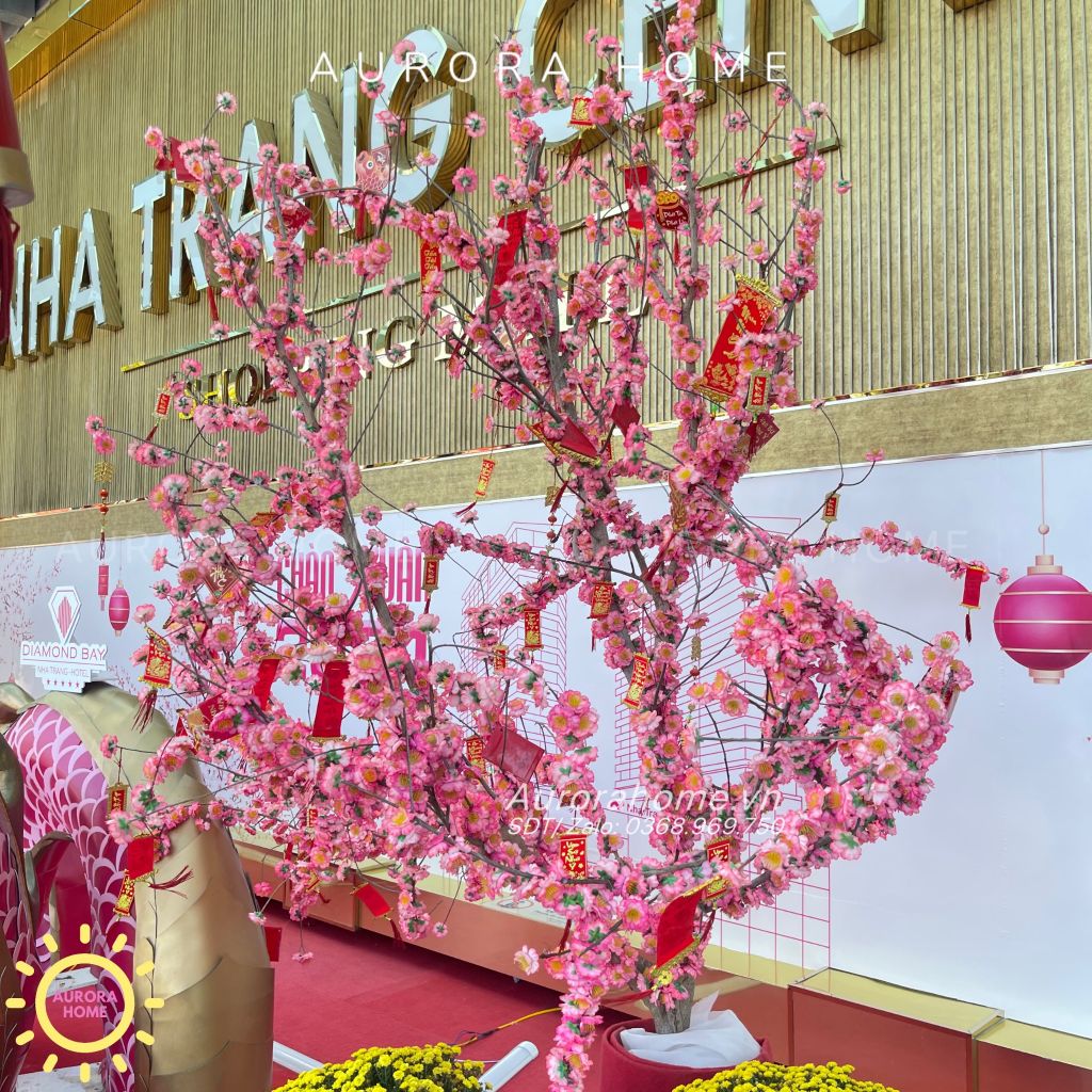 Cây đào rừng nhỏ trang trí Tết (trồng theo yêu cầu)