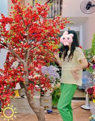 Cây đào rừng đỏ xinh xắn trang trí Tết (hàng thiết kế)