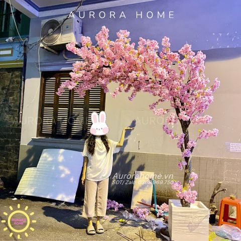 Cây đào Sakura giả trang trí Tết dáng huyền xinh xắn (Nhiều mẫu)