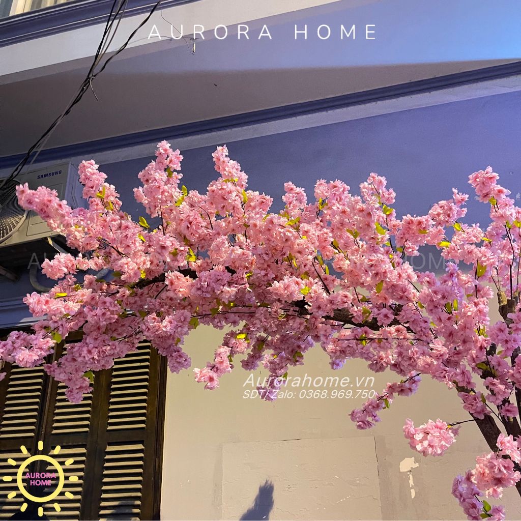 Cây đào Sakura giả trang trí Tết dáng huyền xinh xắn (Nhiều mẫu)
