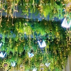 Tiểu cảnh dây rủ treo giả cổ tích xanh tại quán Cafe quận 1