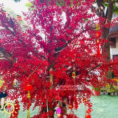 Thiết kế cây đông đào giả trang trí tết theo yêu cầu