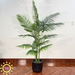 Cây dừa giả tán xoè trang trí phòng xinh xắn