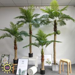 Cây dừa cọ nhiệt đới cao cấp - cây nhân tạo