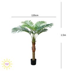 Cây dừa cọ nhiệt đới cao cấp - cây nhân tạo
