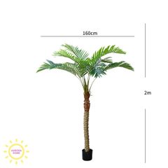 Cây dừa cọ nhiệt đới cao cấp - cây nhân tạo