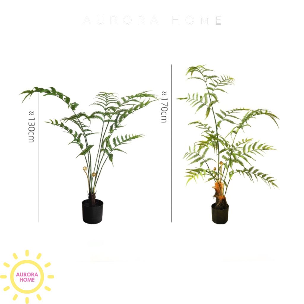 Cây giả cao cấp dương xỉ Nhật Bản