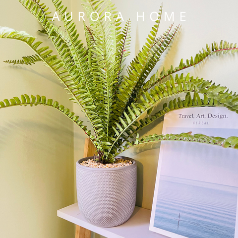 Cây dương xỉ mini giả để bàn (Mẫu 5)