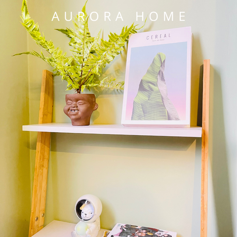 Cây dương xỉ mini giả để bàn (Mẫu 1)