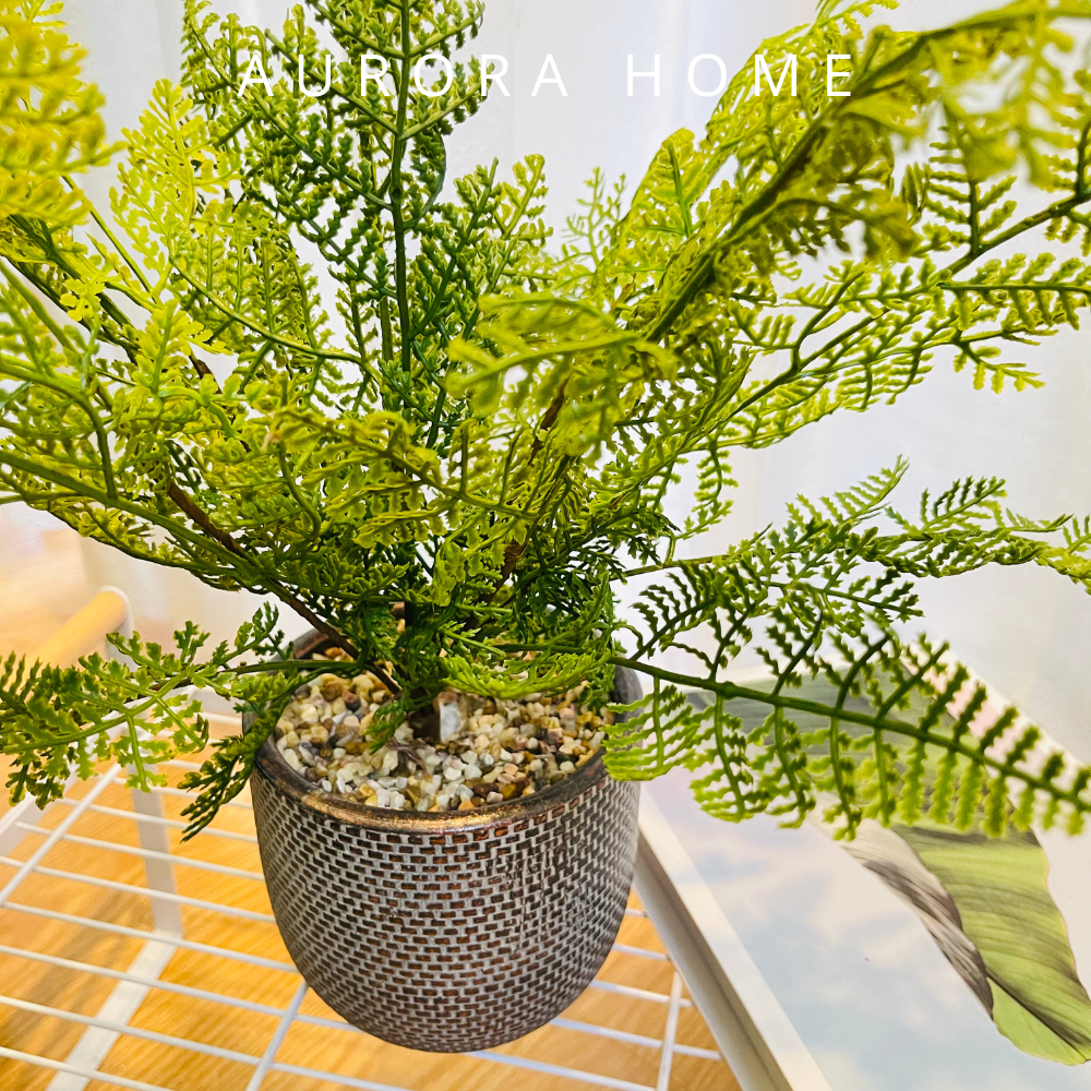 Cây dương xỉ mini giả để bàn (Mẫu 4)