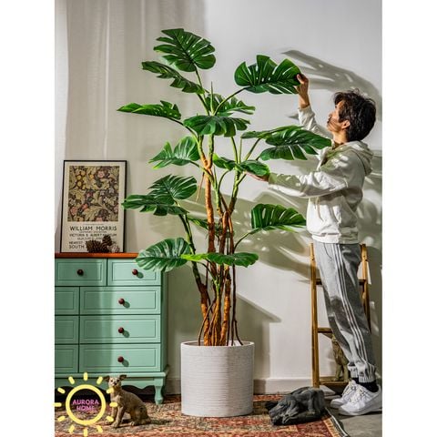 Cây giả Monstera lá xẻ rừng nhiệt đới